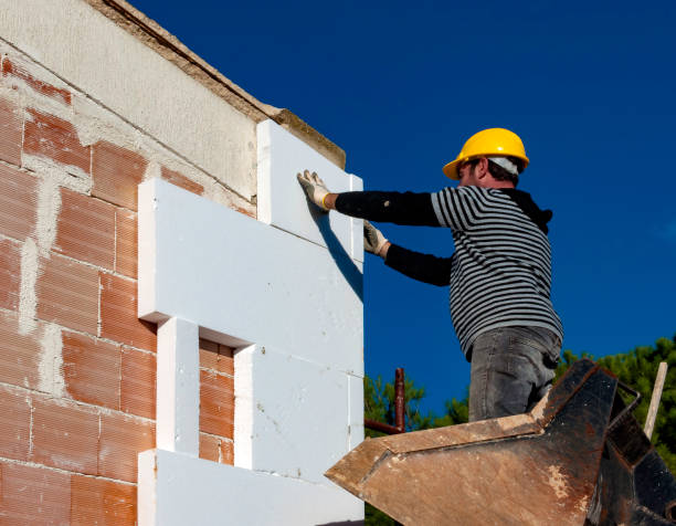 Best Fiberglass Insulation  in Rolla, MO