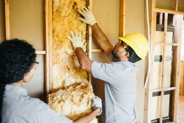 Best Spray Foam Insulation  in Rolla, MO