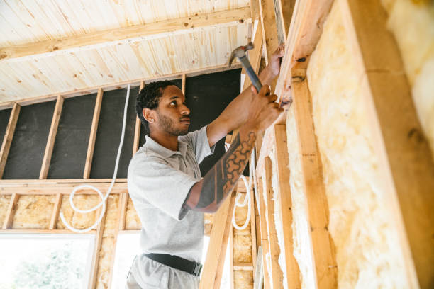 Best Local Insulation Services  in Rolla, MO