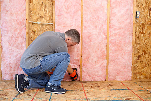 Best Insulation Repair Services  in Rolla, MO