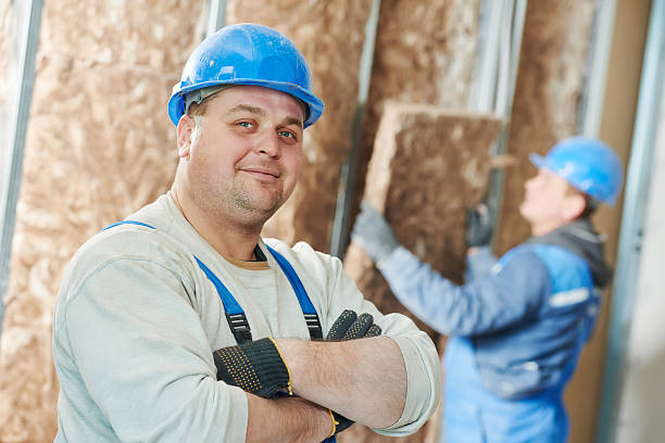 Best Insulation Contractors for Homes  in Rolla, MO