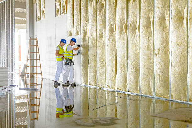 Best Home Insulation Services  in Rolla, MO
